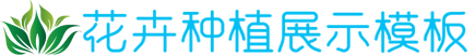 顺达-顺达平台-顺达中国加盟站